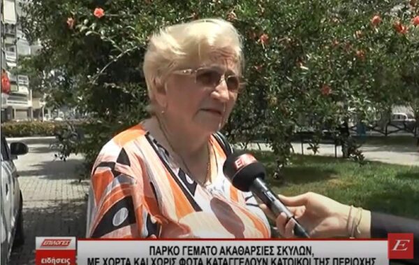 Σέρρες: Πάρκο γεμάτο ακαθαρσίες σκύλων, χόρτα και χωρίς φώτα, καταγγέλλουν οι κάτοικοι- video