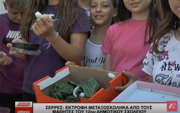 Σέρρες: Εκτροφείο με μεταξοσκώληκες από τους μαθητές του 12ου Δημοτικού Σχολείου- video
