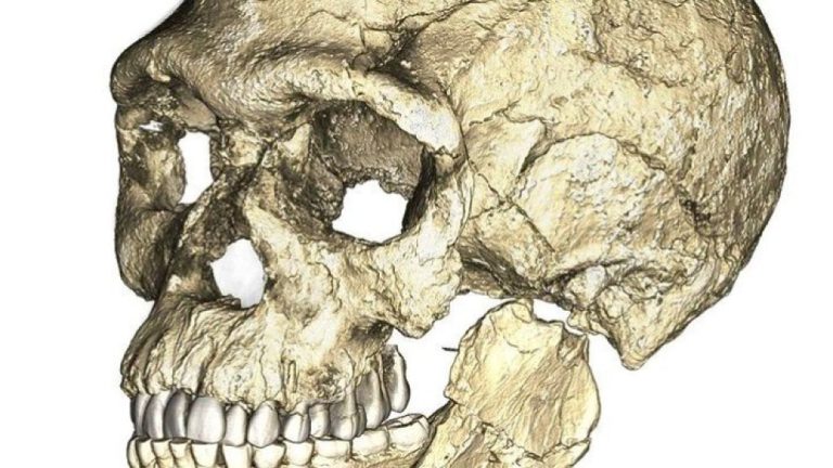 Παλαιοντολόγος δηλώνει ότι ανακάλυψε ταφές παλαιότερες κατά 100.000 έτη από εκείνες του Homo sapiens