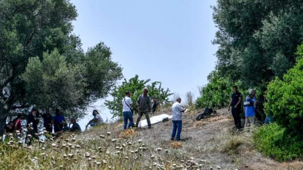 Ηλεία: Τα πρόβατα του θύματος που έβοσκαν στο χωράφι του 83χρονου δράστη αιτία του φονικού