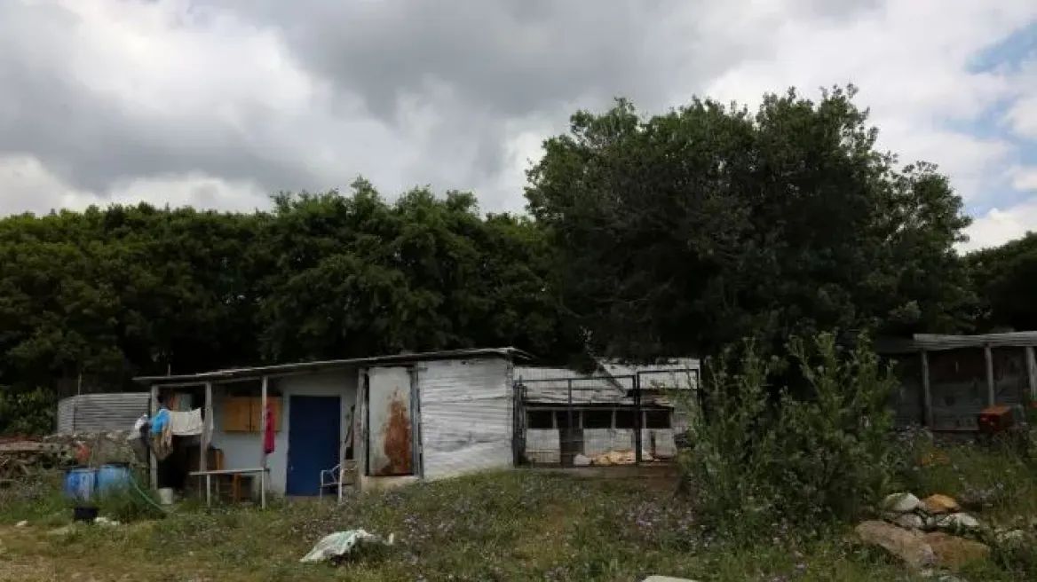 Καβάλα: Είχε μαρτυρικό θάνατο όπως ήταν και η ζωή της, λέει ο αδερφός της 68χρονης κτηνοτρόφου