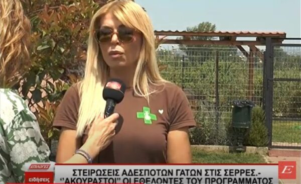 Στειρώσεις αδέσποτων γατών στις Σέρρες: Ακούραστοι οι εθελοντές του προγράμματος -Video