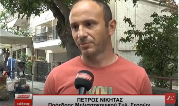 Σέρρες: Λιγότερο μέλι φέτος: Λόγω βροχών δεν αναπτύχθηκαν τα μελίσσια- video