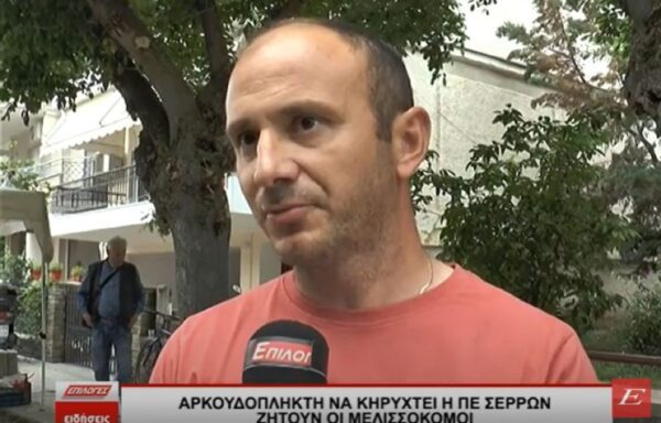 Αρκουδόπληκτη να κηρυχθεί η Π.Ε. Σερρών προτείνουν οι μελισσοκόμοι- video
