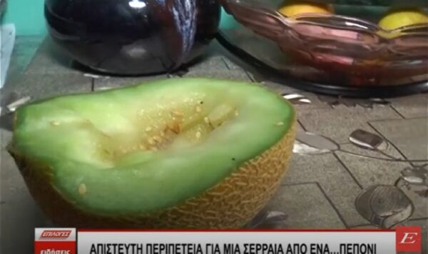Απίστευτη περιπέτεια για μια Σερραία από ένα…πεπόνι- video