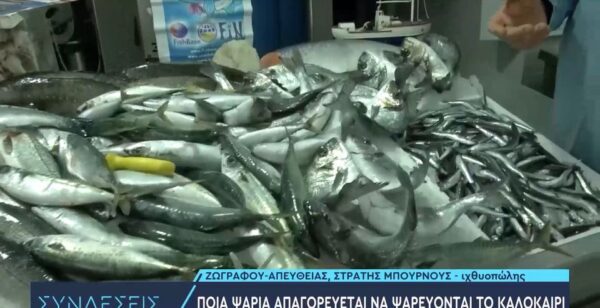 Ποια ψάρια πρέπει να τρώμε το καλοκαίρι και ποια "απαγορεύεται" να ψαρεύονται
