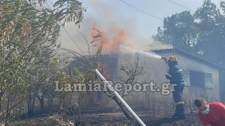 Λαμία: Μάχη με τις φλόγες μέσα στα σπίτια -Δείτε εικόνες