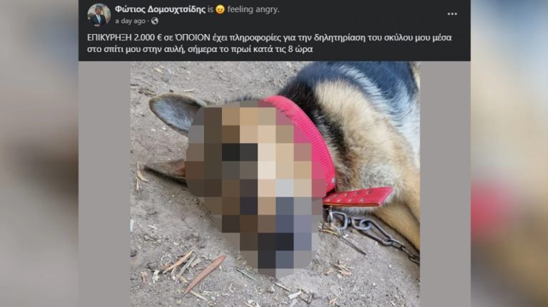 Σέρρες: Δεύτερη φορά σκοτώνουν με φόλα σκύλο του δημάρχου Σιντικής μέσα στην αυλή του -Επικήρυξε τους δράστες