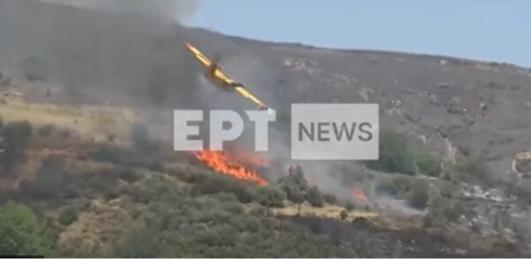 Η στιγμή που το Canadair συντρίβεται στην Κάρυστο - Βίντεο ντοκουμέντο