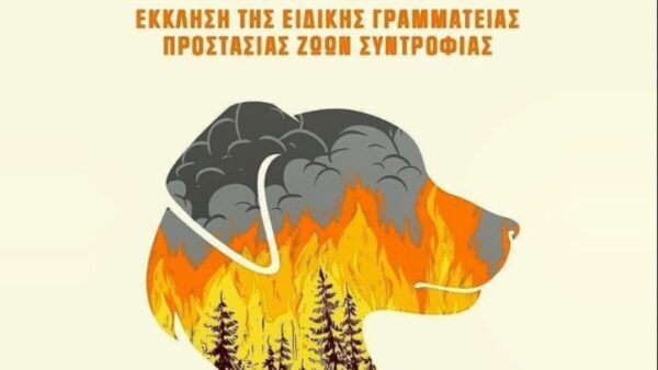 Μην εγκαταλείπετε τα κατοικίδιά σας - Κάθε ζωή έχει αξία