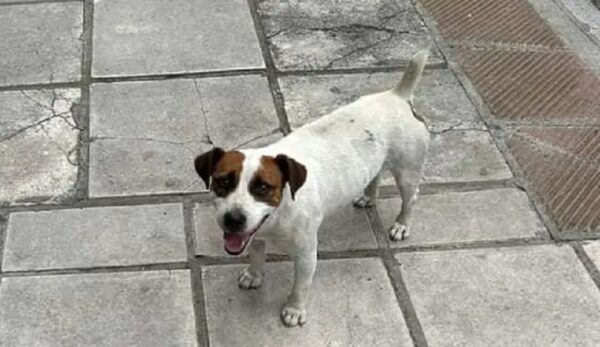 Θεσσαλονίκη: Ο μικρός Μάουι εξαφανίστηκε το 2018 και επέστρεψε… χθες στην οικογένειά του!