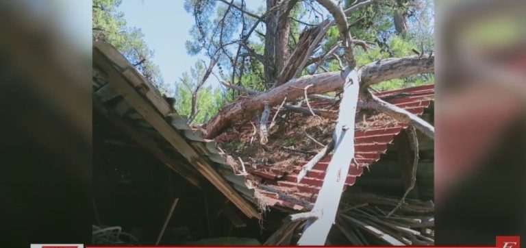 Μεγάλες καταστροφές στα Κερδύλια: Αίτημα του Δήμου να κηρυχτεί η περιοχή σε κατάσταση έκτακτης ανάγκης