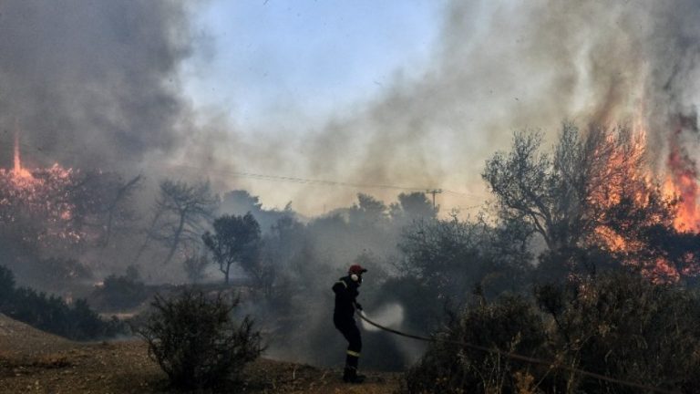 Θεσσαλονίκη: Υπό μερικό έλεγχο η πυρκαγιά στον δήμο Βόλβης- Άνοιξε η Εγνατία Οδός