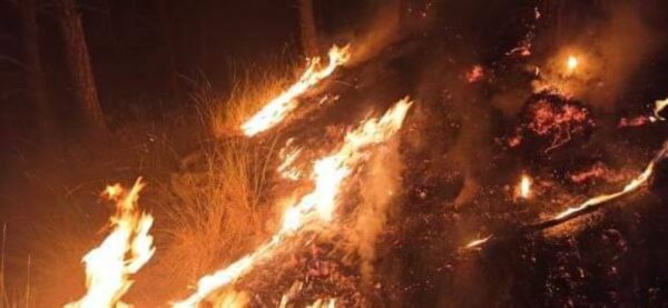 Φωτιά στην Κοιλάδα των Σερρών: Καθοριστική η βοήθεια των εθελοντών- video
