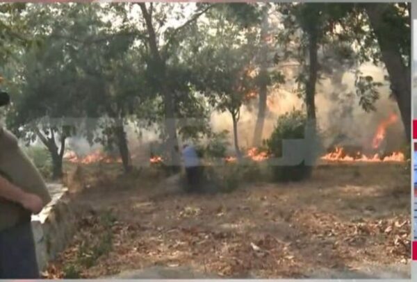 Φωτιά στη Μαγνησία: Δύο νεκροί στα ανεξέλεγκτα πύρινα μέτωπα