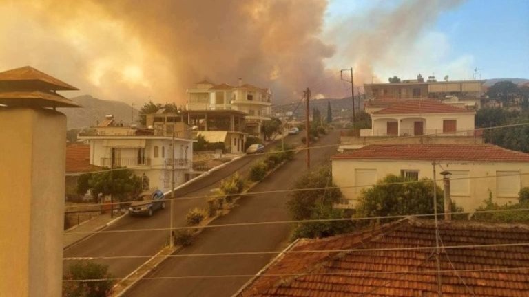 Ξεκίνησε η καταγραφή ζημιών από την καταστροφική πυρκαγιά στη Μαγνησία