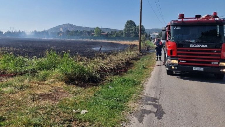 Θεσσαλονίκη: Θρήνος για τον 55χρονο πυροσβέστη που πέθανε την ώρα του καθήκοντος – «Ήταν υγιέστατος», λέει η σύζυγός του