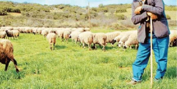 Σέρρες: Βοσκός αγνοείται από χθες το βράδυ στον Προμαχώνα