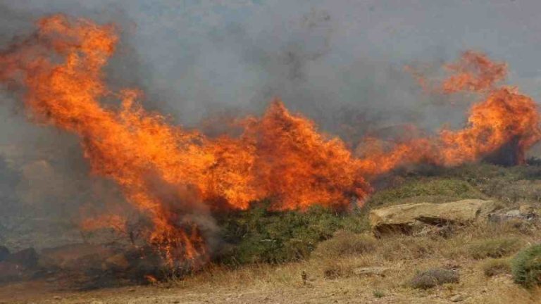 Φωτιά στην Άσσηρο Θεσσαλονίκης – Σηκώθηκε ελικόπτερο