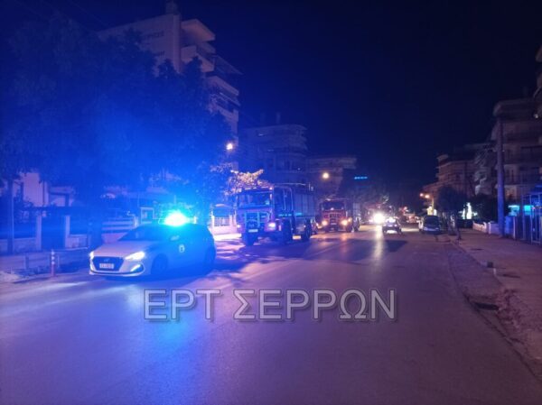 Σέρρες: Έφτασαν στην Ελλάδα Ρουμάνοι πυροσβέστες για να συνδράμουν στην κατάσβεση των πυρκαγιών