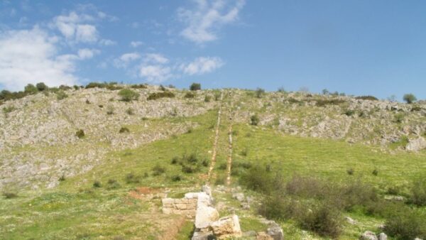 Τι περιελάμβανε το νεολιθικό διαιτολόγιο στην περιοχή των Τρικάλων