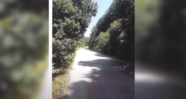 Άνω Βροντού Σερρών: Επικίνδυνες στροφές και μειωμένη ορατότητα λόγω αυξημένης βλάστησης -video
