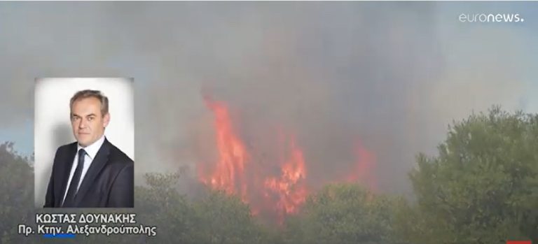 Κραυγή αγωνίας από κτηνοτρόφους και αγρότες στον Έβρο: Πάνω από 4000 ζώα κάηκαν, στάχτη χιλιάδες ελαιόδεντρα