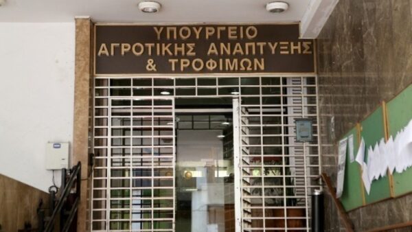 ΥπΑΑΤ-ΕΛΓΑ: Οι ενισχύσεις για τις δενδροκαλλιέργειες που επλήγησαν από τις πυρκαγιές