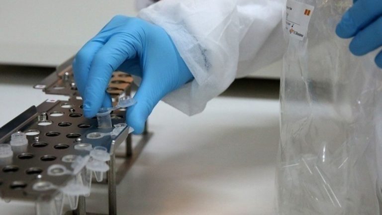 Τρεις θάνατοι από τον ιό του Δυτικού Νείλου την τελευταία εβδομάδα