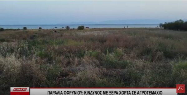 Παραλία Οφρυνίου: Σε ετοιμότητα οι κάτοικοι με τους κουβάδες- Κίνδυνος με ξερά χόρτα σε αγροτεμάχιο 10 στρ."