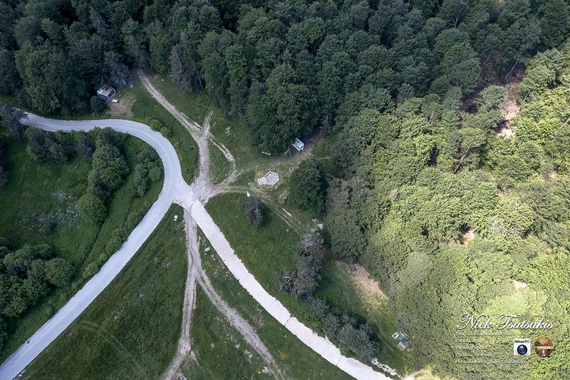 Δείτε βίντεο και φωτογραφίες: Δάσος Λαϊλιά ψηλά στην οροσειρά της Bροντούς -Ο «θελξικάρδιος παράδεισος» των Σερρών
