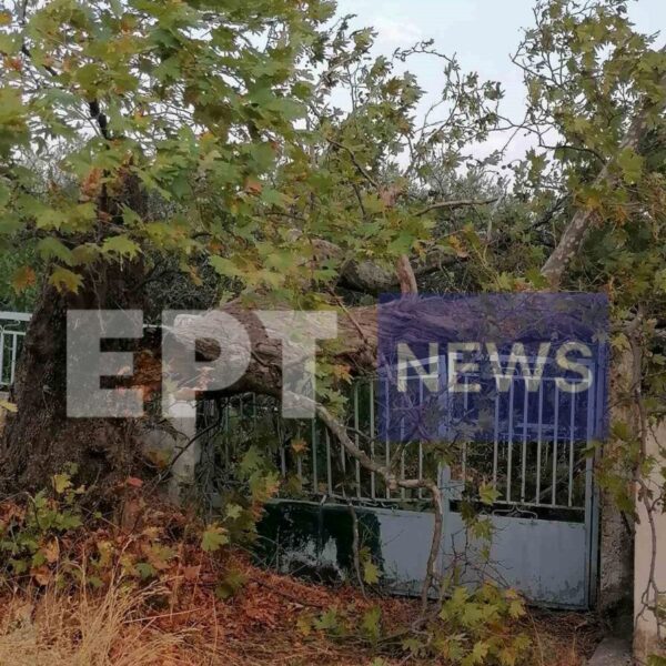 Σέρρες: Δυνατό μπουρίνι στην Αναστασιά ξήλωσε στέγες και κεραμίδια