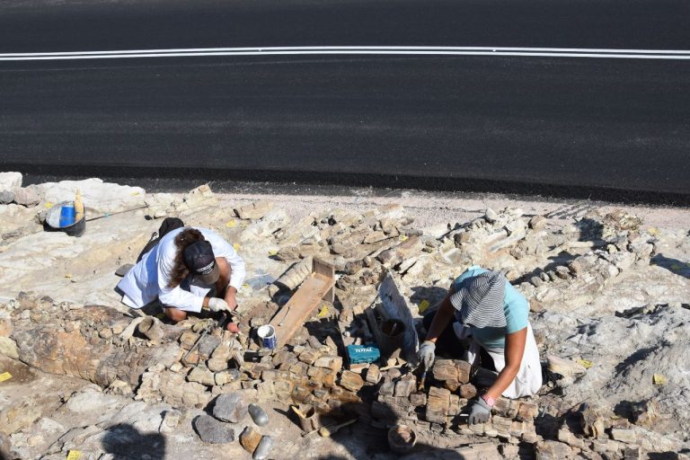 Μυτιλήνη: Ξεκίνησε η λειτουργία του νέου ανοικτού υπαίθριου πάρκου απολιθωμάτων