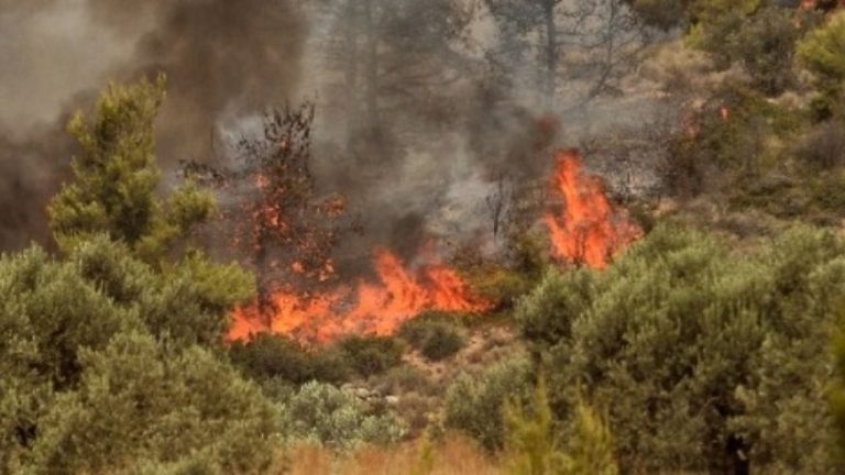 Φωτιά σε δασική έκταση στο 'Αγιο Όρος-Υπό μερικό έλεγχο η πυρκαγιά στη Ροδόπη
