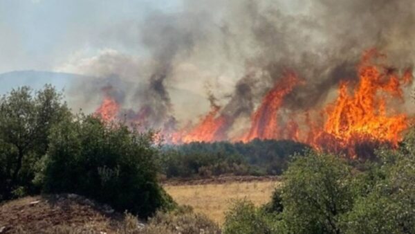 Διεκόπη για 45 λεπτά η κυκλοφορία οχημάτων επί της Εγνατίας Οδού λόγω της πυρκαγιάς στο Διαλεκτό