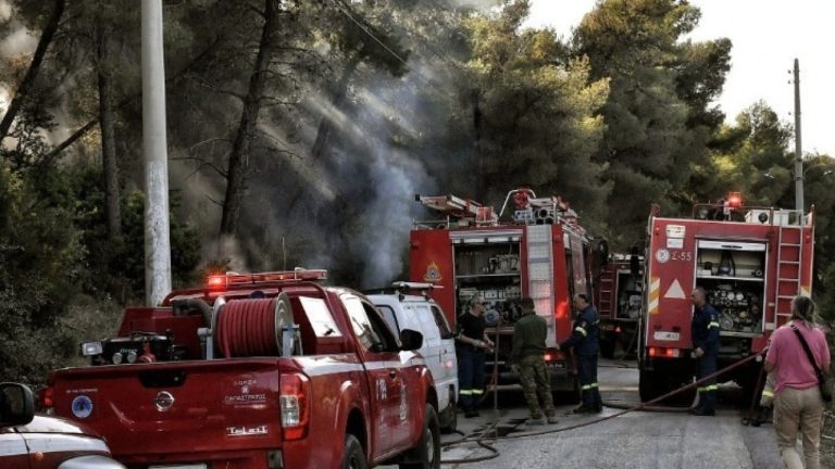 Έβρος: Χωρίς ενεργά μέτωπα πυρκαγιάς - Επέστρεψαν στα σπίτια τους οι κάτοικοι της Λευκίμμης