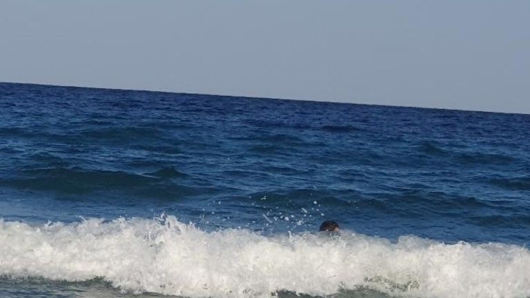Χαλκιδική: Νεκρός 68χρονος λουόμενος στη θαλάσσια περιοχή του Διάπορου