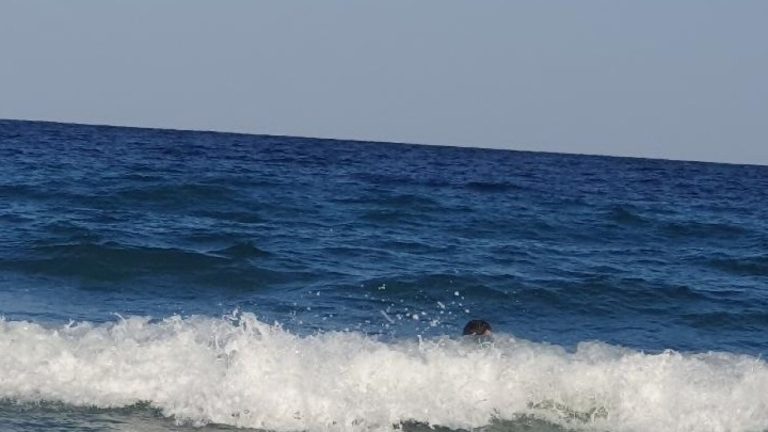Χαλκιδική: 5χρονος παρασύρθηκε από θαλάσσια ρεύματα στο Ποσείδι