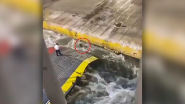 Ιατροδικαστής για τον πνιγμό του 36χρονου Αντώνη: «Ένας βίαιος θάνατος που επήλθε μέσα σε λίγα λεπτά»