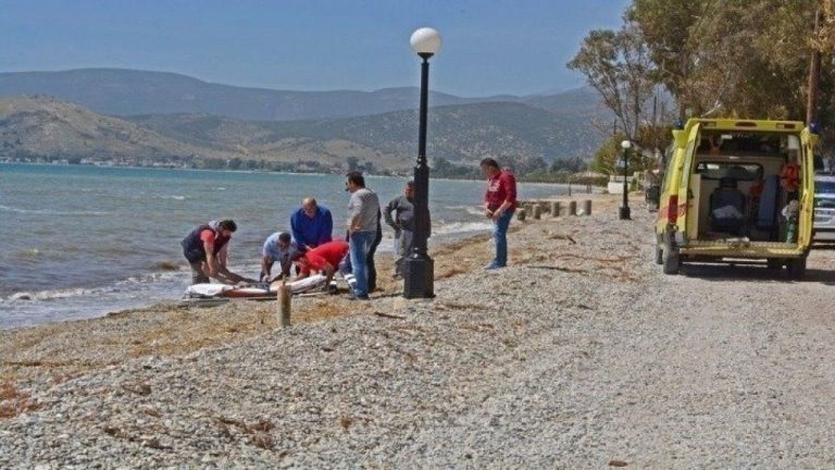 Νεκρός 68χρονος λουόμενος στην παραλία Ασπροβάλτας