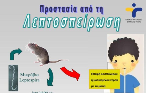 Τι είναι η «λεπτοσπείρωση»- Πώς μεταδίδεται και τα συμπτώματα