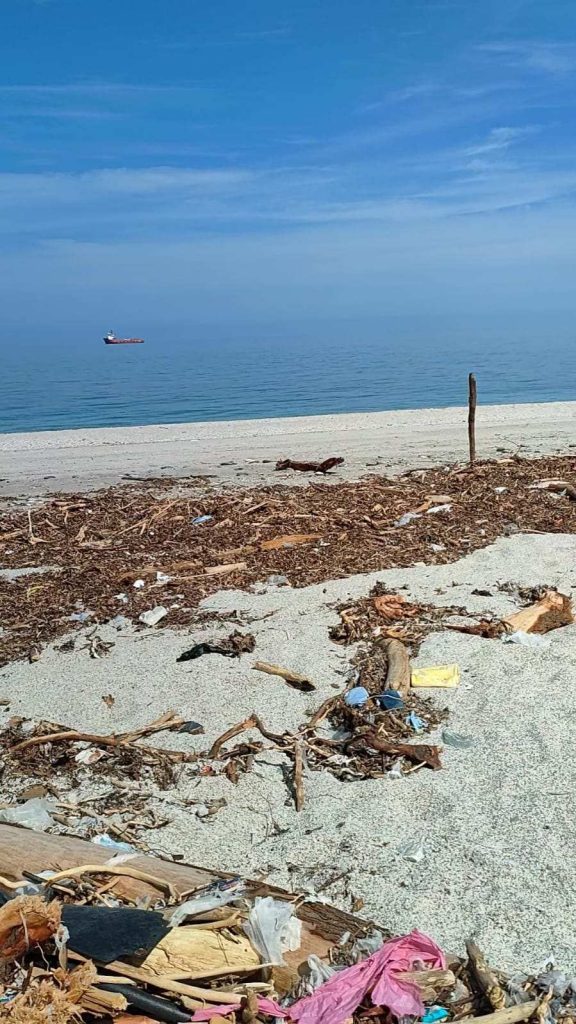 Typhoon Project: ο «Τυφώνας» που καθάρισε τις ακτές του Πηλίου
