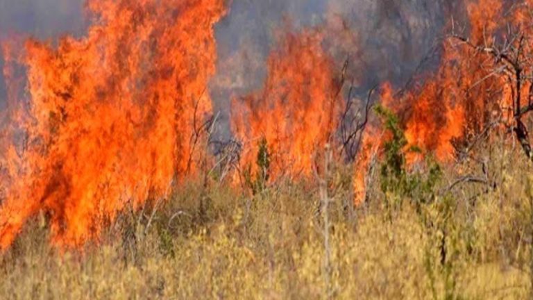 Πυρκαγιά σε εξέλιξη από το μεσημέρι σε αγροτοδασική έκταση στο Καβαλλάρη Κιλκίς