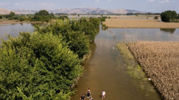 Παράταση υποβολής δηλώσεων ΟΣΔΕ για πληγείσες περιοχές