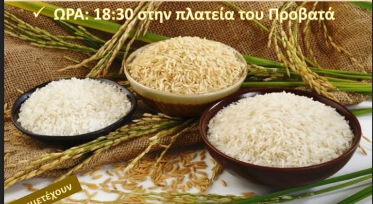23η Γιορτή Ρυζιού στον Προβατά