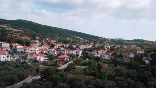 Ενδοπαραταξιακή ανακατάταξη έφερε η επανακαταμέτρηση στο Ελαιώνα Σερρών