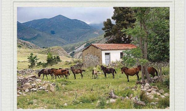 Το κρυφό σχολείο στην Ίμβρο, μια άγνωστη ως τώρα πτυχή της ιστορίας, σε βιβλίο με μαρτυρίες των ανθρώπων του νησιού