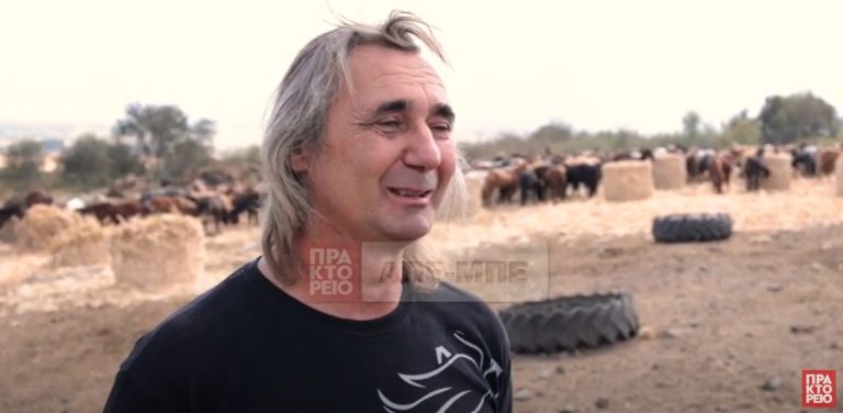 Ένας «πατέρας» με χίλια άλογα στα Άνω Πορόια Σερρών και μια ιστορία αγάπης- Video