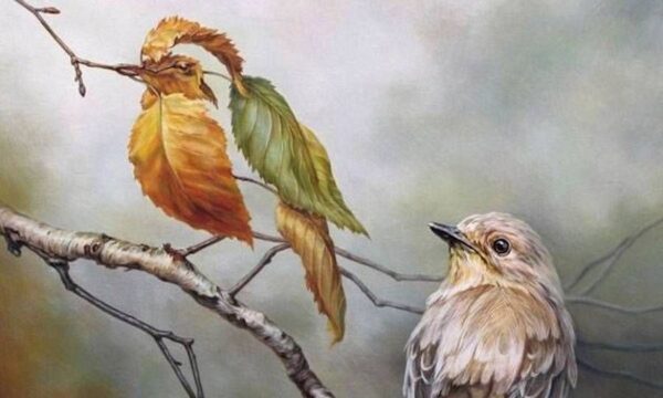 Ψυχολογικό τεστ: Το πρώτο πράγμα που βλέπετε στην εικόνα αποκαλύπτει τα δυνατά σας σημεία