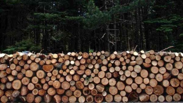 Πώς να αποθηκεύσετε σωστά τα ξύλα για το τζάκι